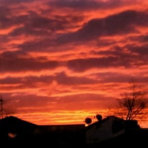 Meet your Posher, Kelchie